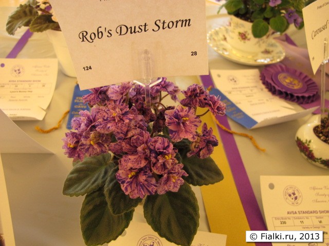 Rob's Dust Storm
