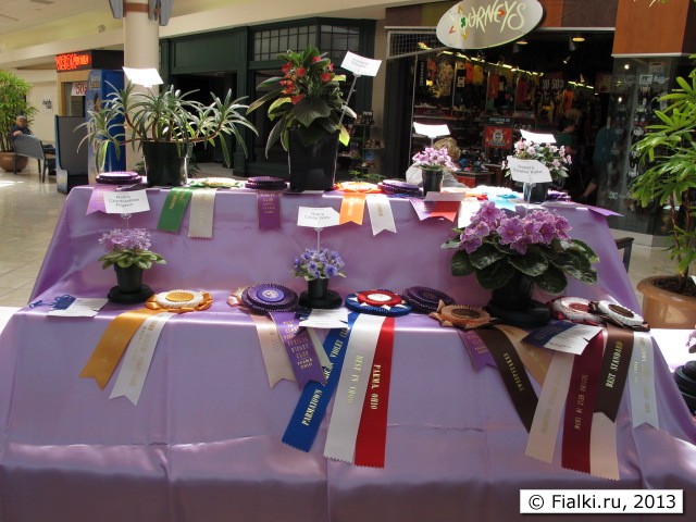 Best in Show table