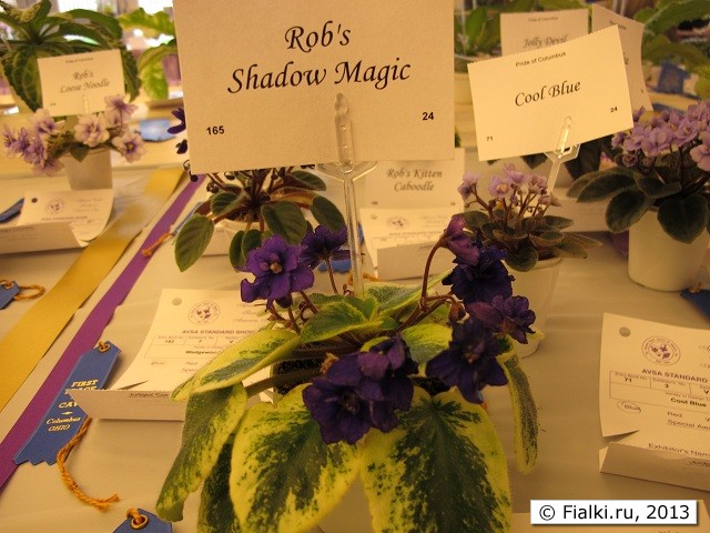 Rob's Shadow Magic