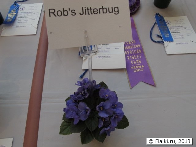 Rob's Jitterbug