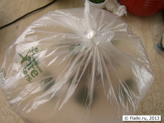 plastic greenhous