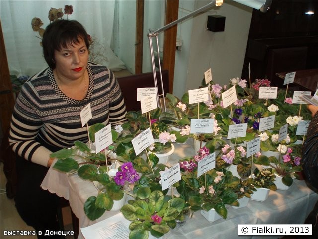 выставка в Донецке