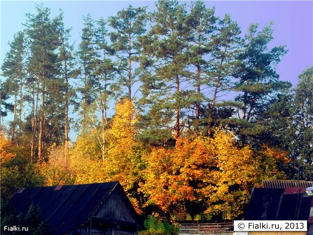 осень над селом