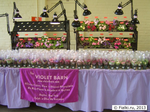 Violet Barn