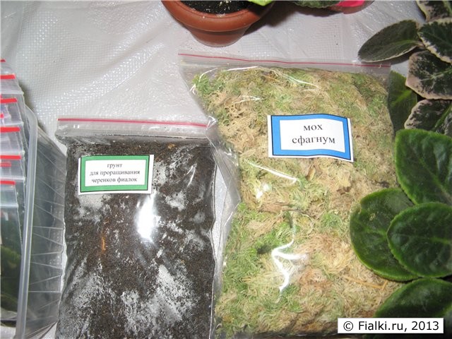 упаковка грунта для черенков и мох сфагнум