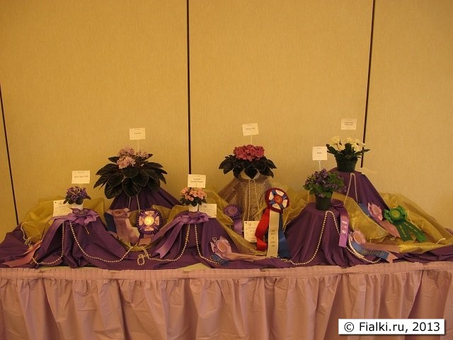 Best in show table