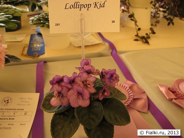 Lollipop Kid