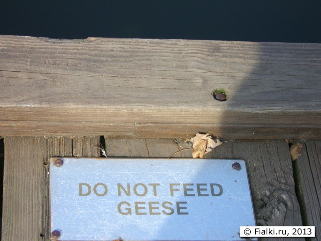 sign no feed