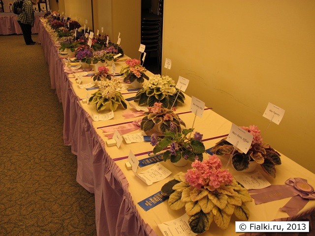 Show table