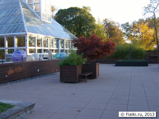 patio 1