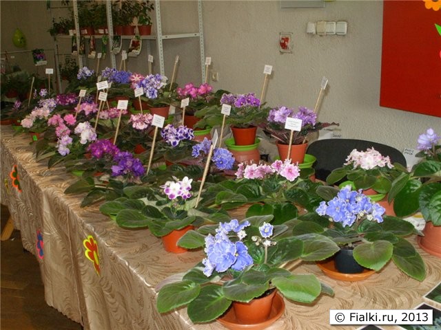 столы с цветами