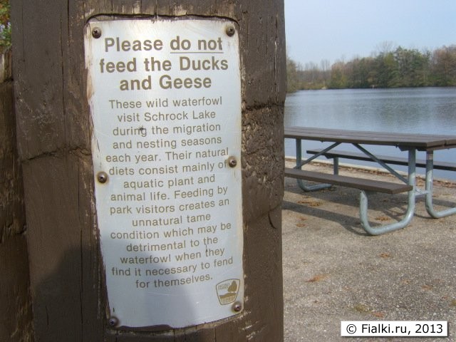 do not feed ducks and gees
