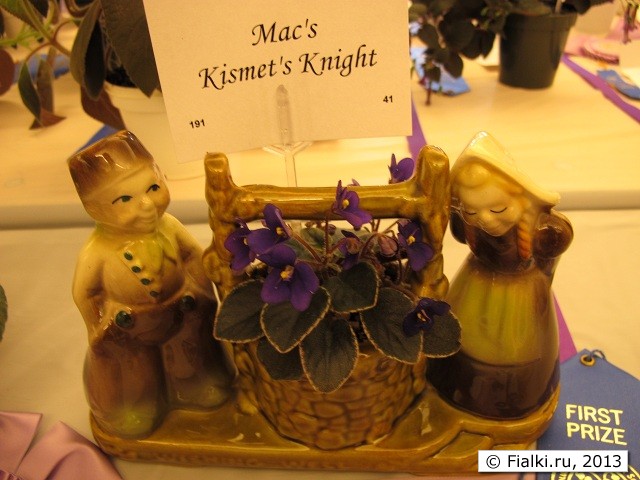 Ma's Kismet's Knight