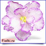 Посмотреть розетку