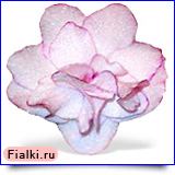 Посмотреть розетку