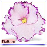 Посмотреть розетку