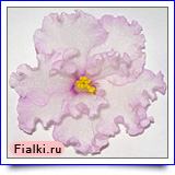 Гончарова % фиалка Pink Chablis (Пинк Чэблис), Sorano