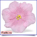 Посмотреть розетку