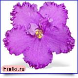Посмотреть розетку