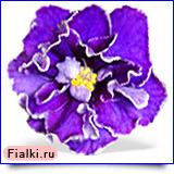 Посмотреть розетку