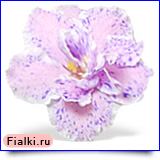 Посмотреть розетку