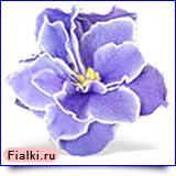 Посмотреть розетку
