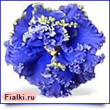 Посмотреть розетку