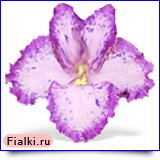 Посмотреть розетку