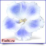 Taffeta Blue