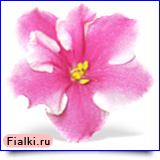 Посмотреть розетку