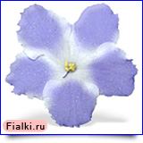 смотреть розетку Lavender Magic