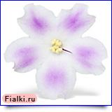 Посмотреть розетку