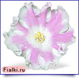 Посмотреть розетку