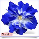 Посмотреть розетку