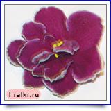 Посмотреть розетку