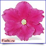 Посмотреть розетку