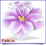 Посмотреть розетку