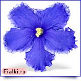 Посмотреть розетку