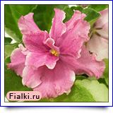 Посмотреть розетку