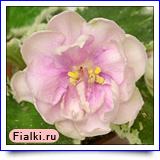 Посмотреть розетку