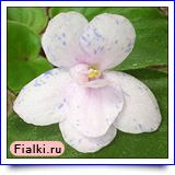 Посмотреть розетку