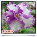 Княжна Мэри