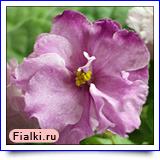 Посмотреть розетку