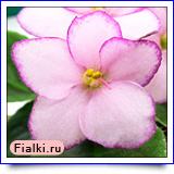 Посмотреть розетку