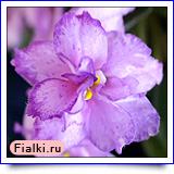 Посмотреть розетку