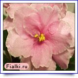 ЕК-Загадка
