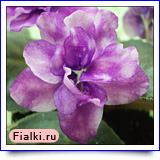 Посмотреть розетку