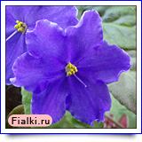 Посмотреть розетку