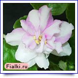 Посмотреть розетку