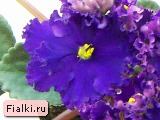 Посмотреть розетку